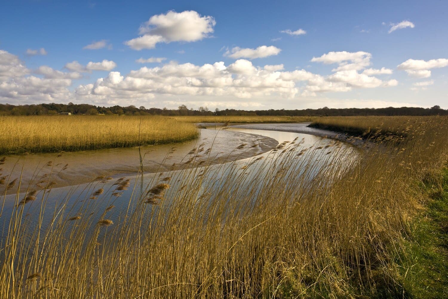 Sachem Pond: A Shallow Saltwater Fishery in Narragansett