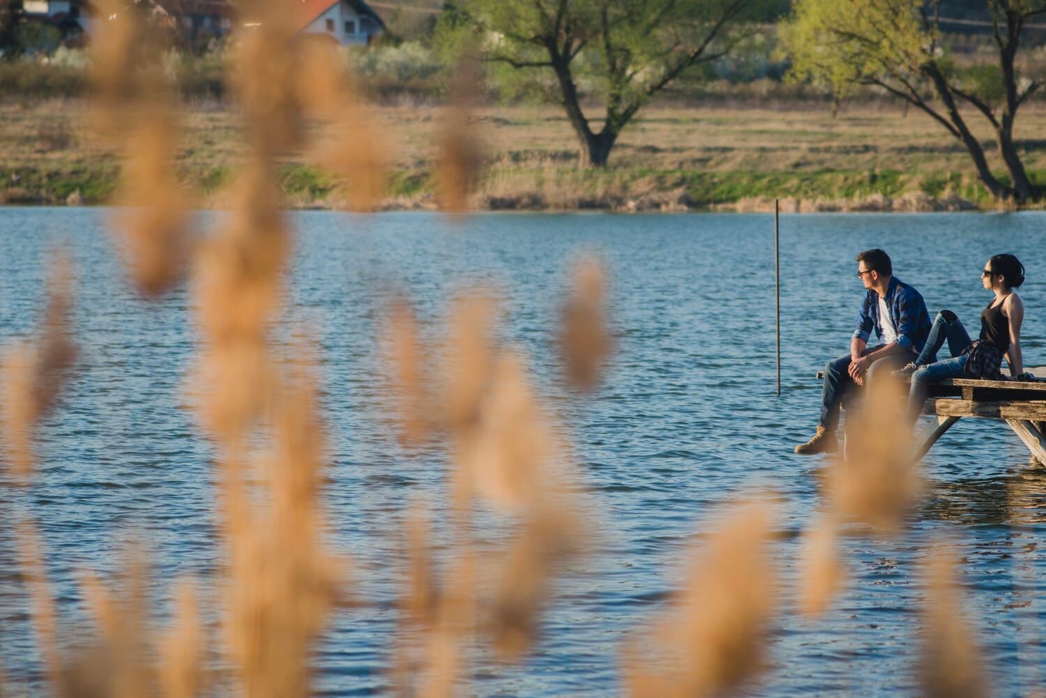 Little Eden Lake — A Shallow Walleye and Pike Fishery in Manistee County