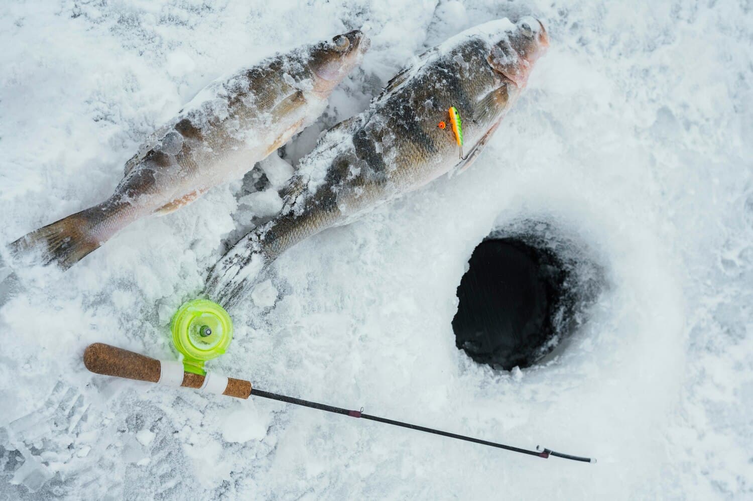 Upper Red Lake: Walleye, Pike, and Winter Bite Patterns in Minnesota's Deepest Coldwater Fishery