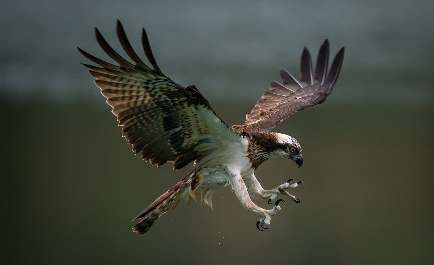 Fishing Eagle Mountain Lake Near Fort Worth