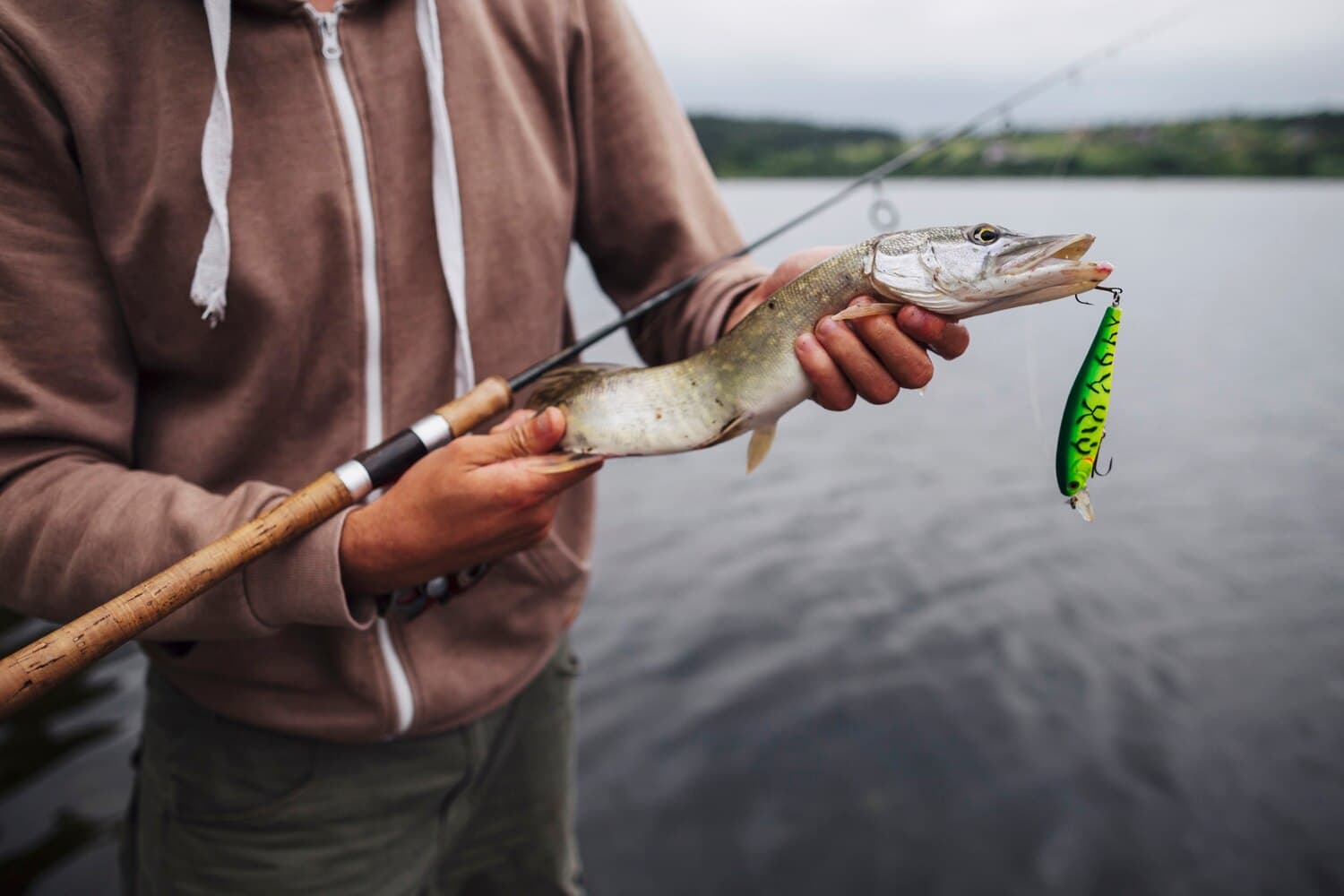 Carp River: A Coldwater Walleye and Pike Fishery in Marquette County