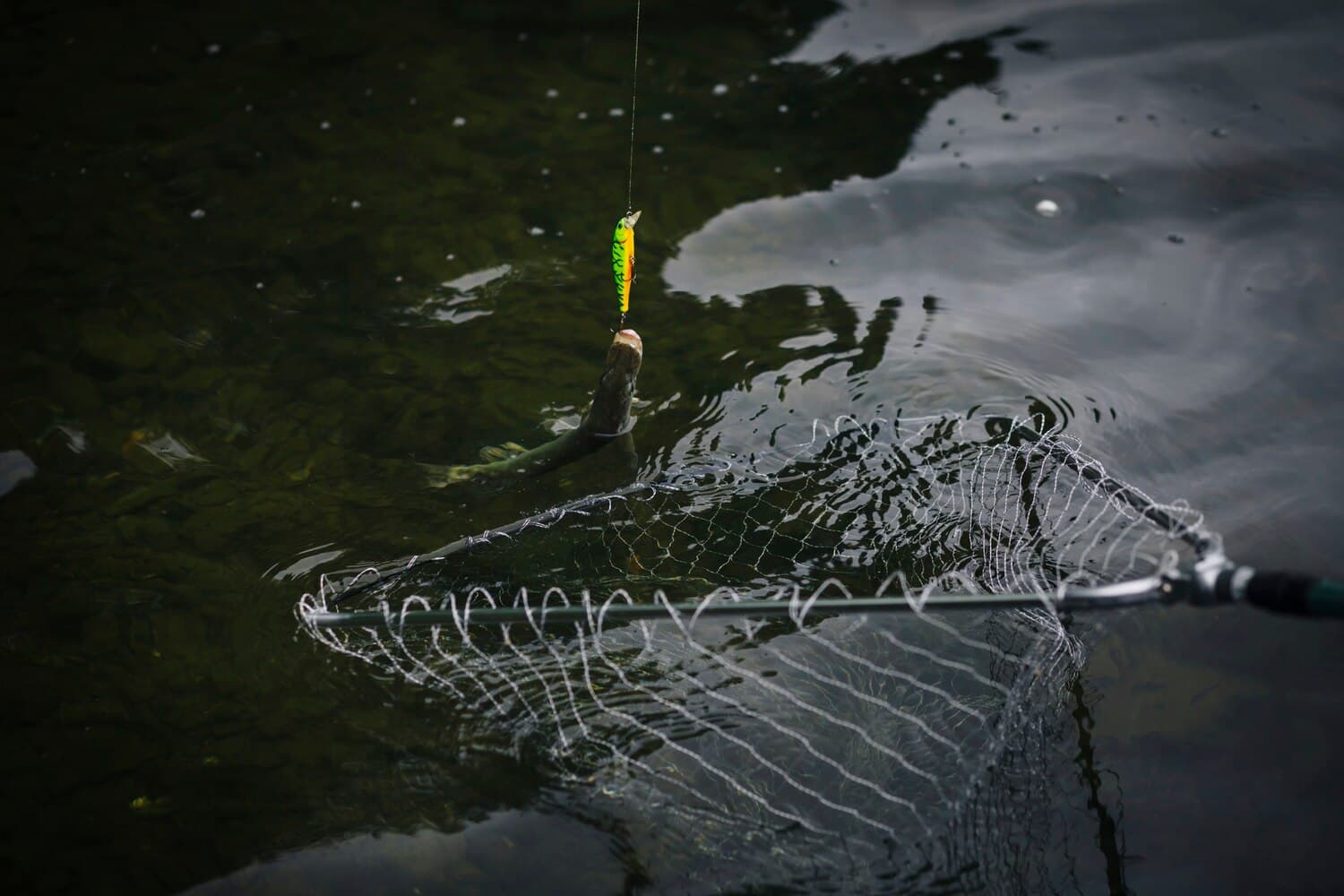 Fishing Lake Maurepas: Brackish Water Bass, Catfish, and Redfish in Southeast Louisiana