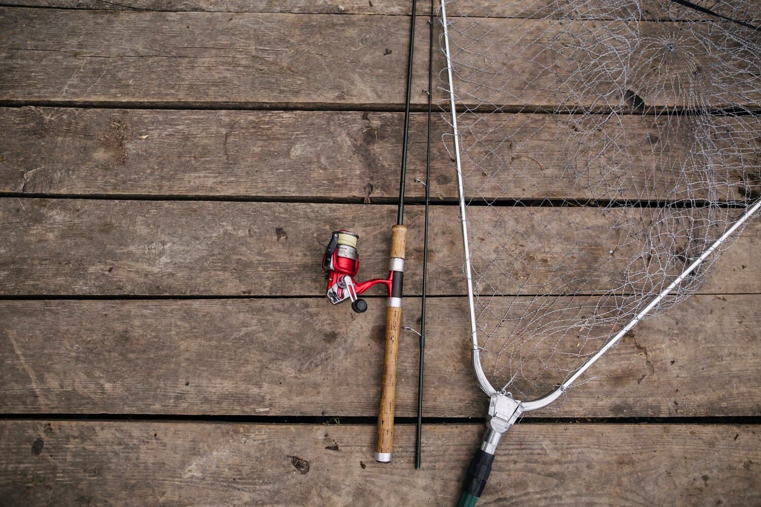 Fan Pier in Boston: Striped Bass and Flounder in the Harbor