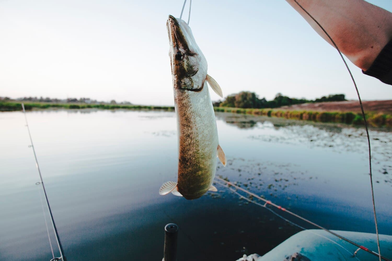 Fishing the Brazos River Near Waco: What to Expect and Where to Start