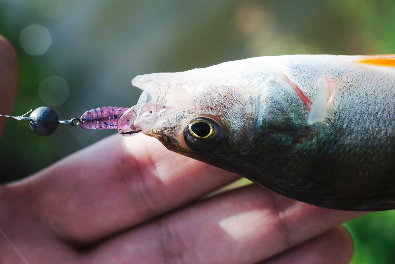 Palmetto Bluff: A Saltwater Fishing Destination in Bluffton