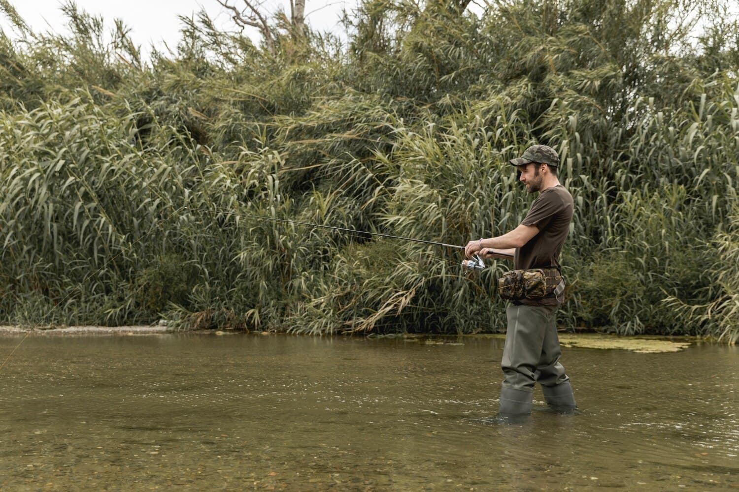 Fishing Bayou Rapides: Warm-Water Species and Seasonal Patterns in Central Louisiana