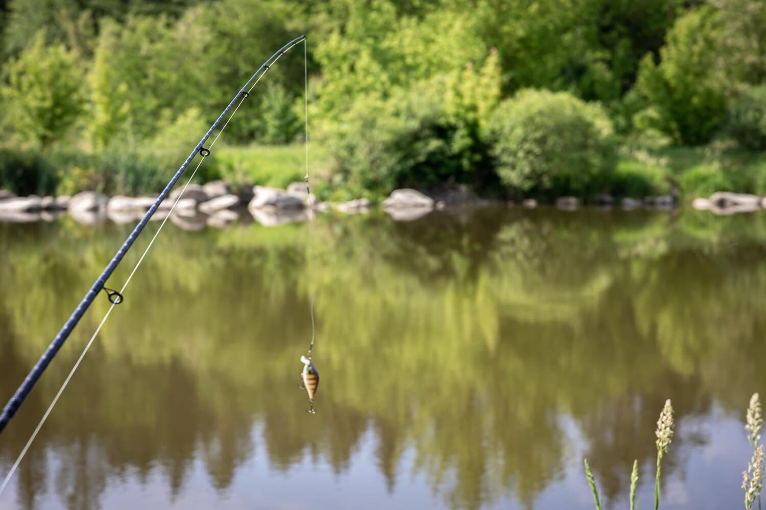 Fishing Salt Lake: What to Expect in Utah's Largest Freshwater Lake