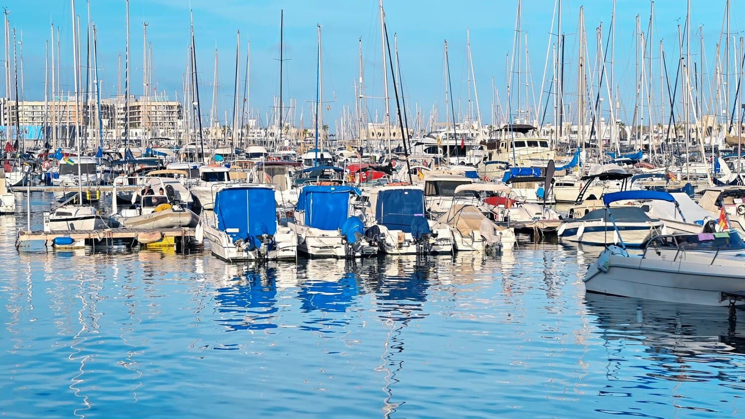 Charleston Harbor Marina: Fishing Access and What to Expect