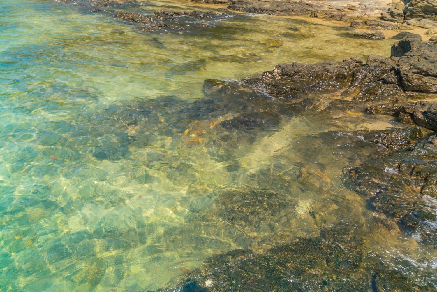 The Fingers at South Padre Island: Shallow Flats Where Redfish Hunt