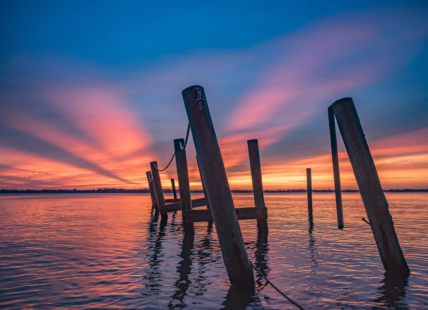 Fishing Melton Peter Demetre Park (Sunrise Park) in Charleston
