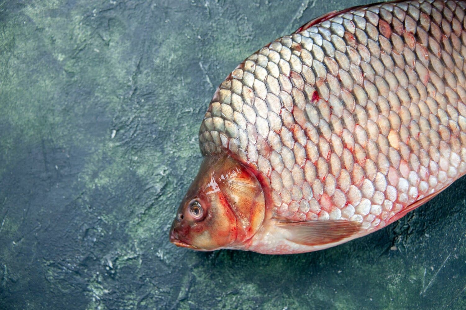 Fishing Apalachicola Point — Saltwater Tactics for Louisiana's Coastal Flats