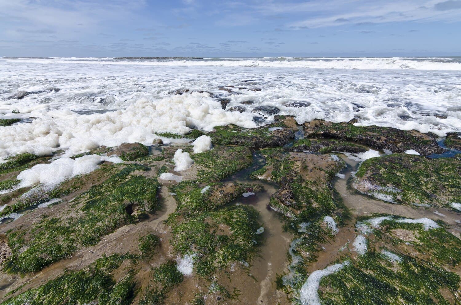Duck Creek in Wellfleet: A Tidal Salt Marsh for Stripers and Flounder