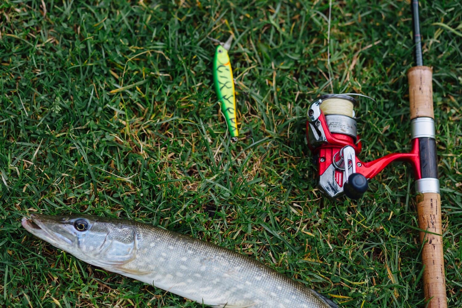 Pike Bay: A Shallow Walleye and Pike Fishery in Northern Wisconsin