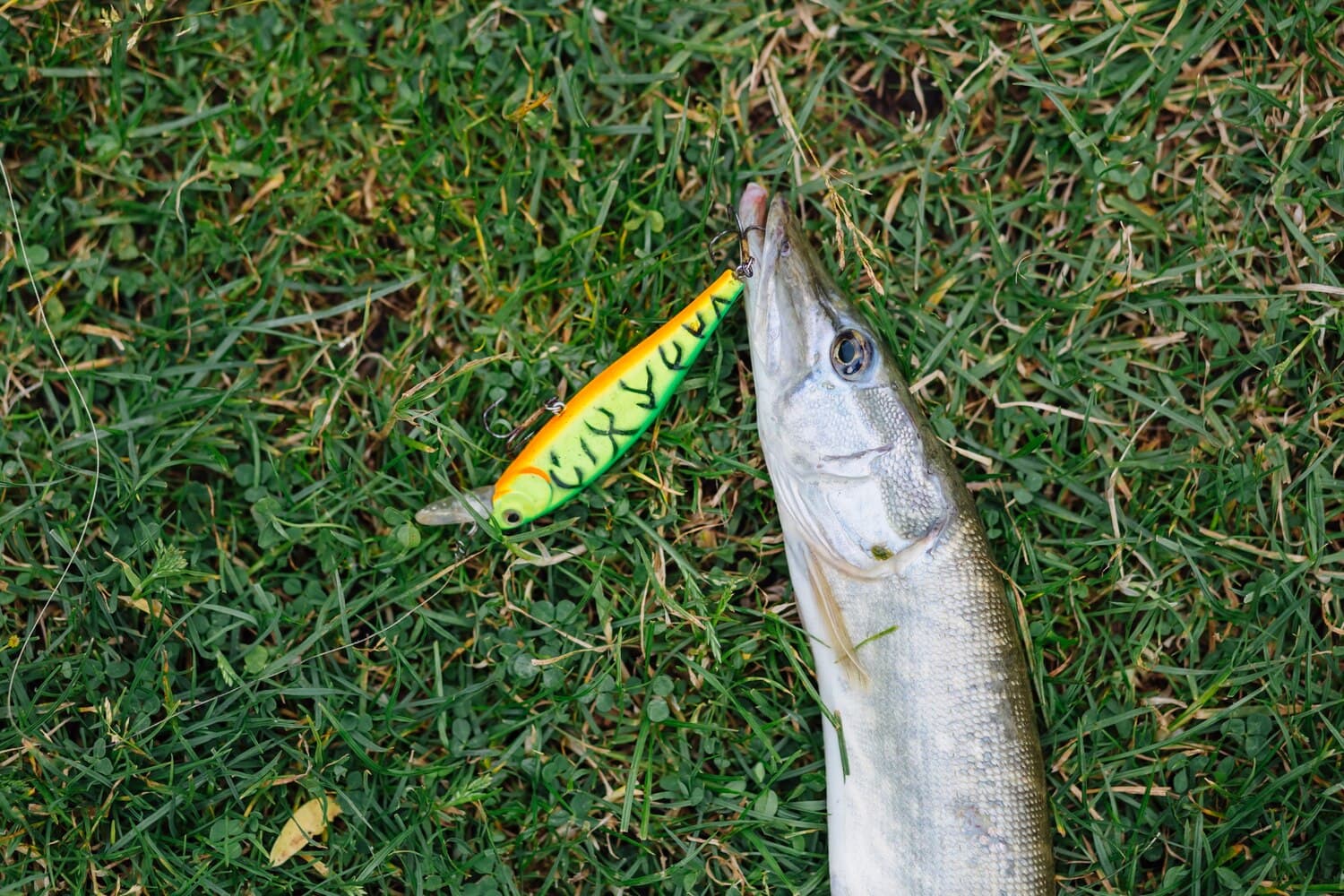 North River in Scituate: Stripers, Flats, and Tidal Access