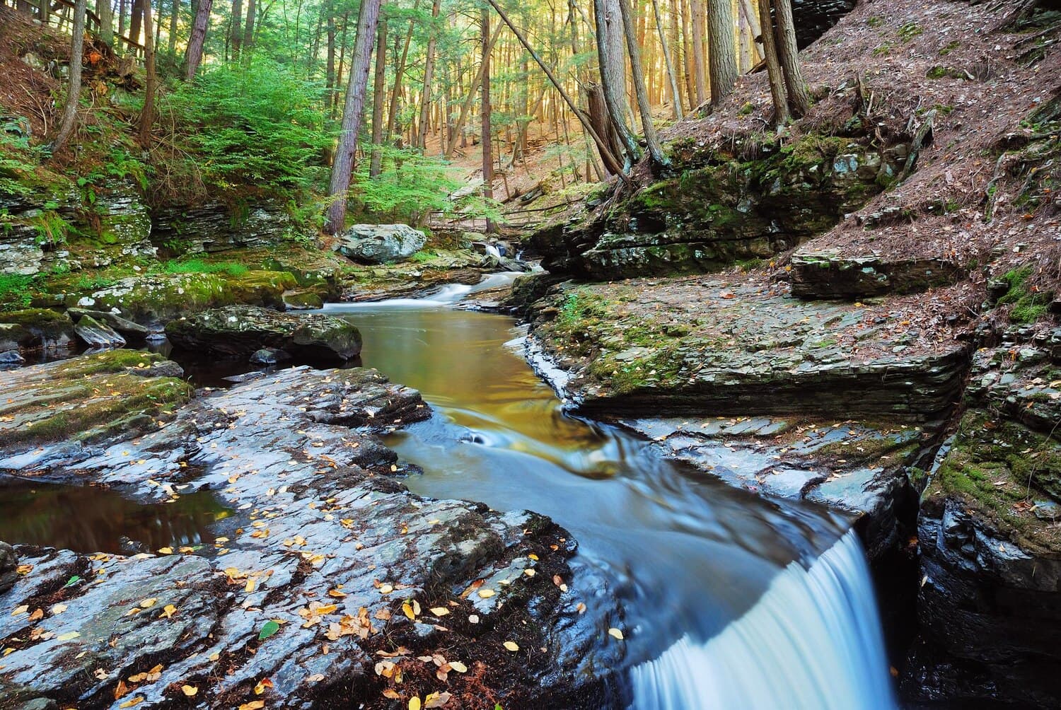 Fishing Alley Creek: A Guide to This Hidden Oklahoma Gem