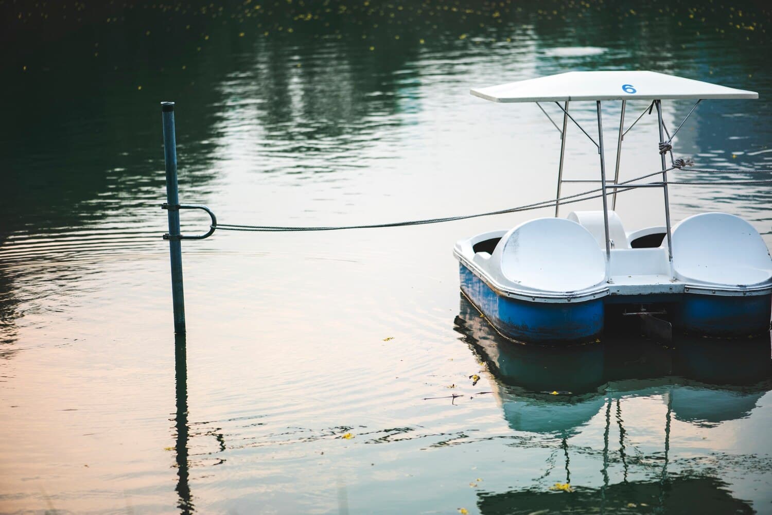 Fishing Lake Livingston State Park: What to Expect and Where to Start