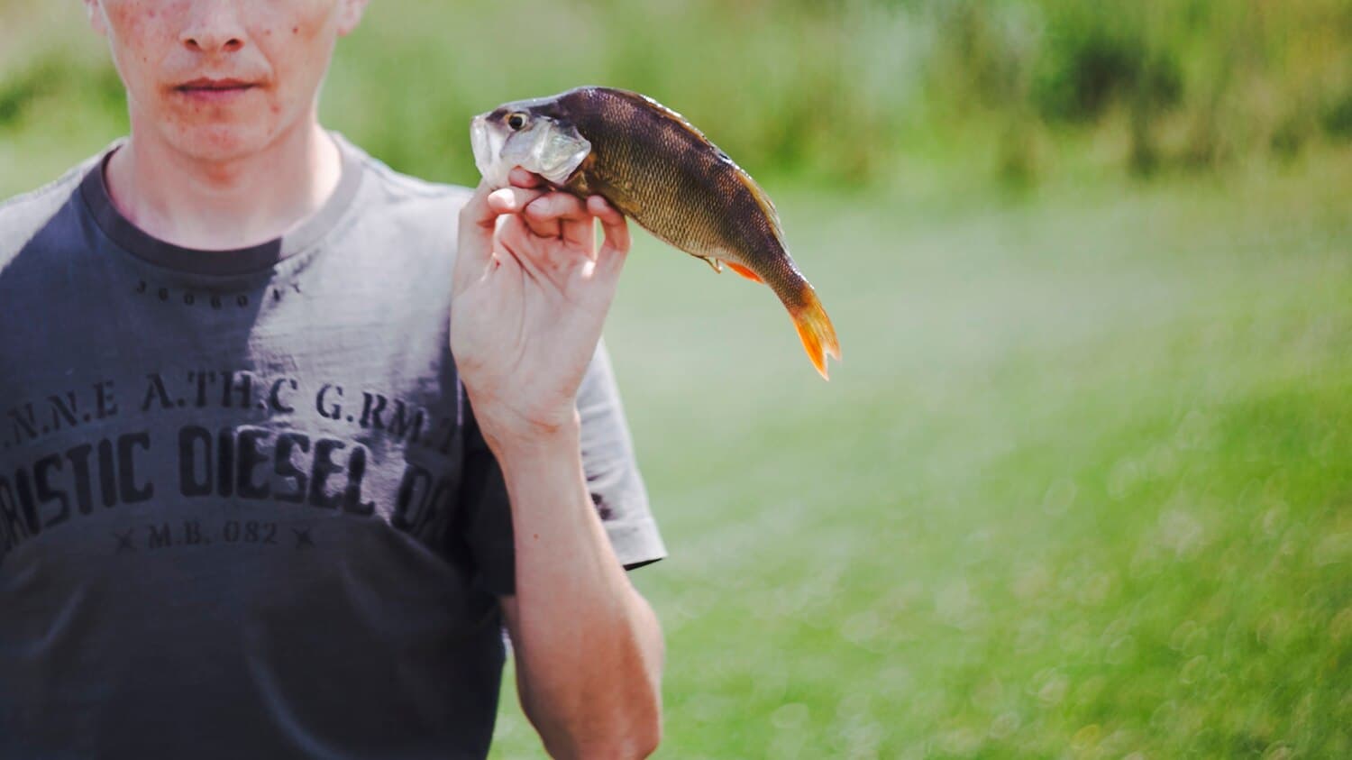 Tawas Lake: A Walleye and Pike Fishery on Michigan's Sunrise Coast