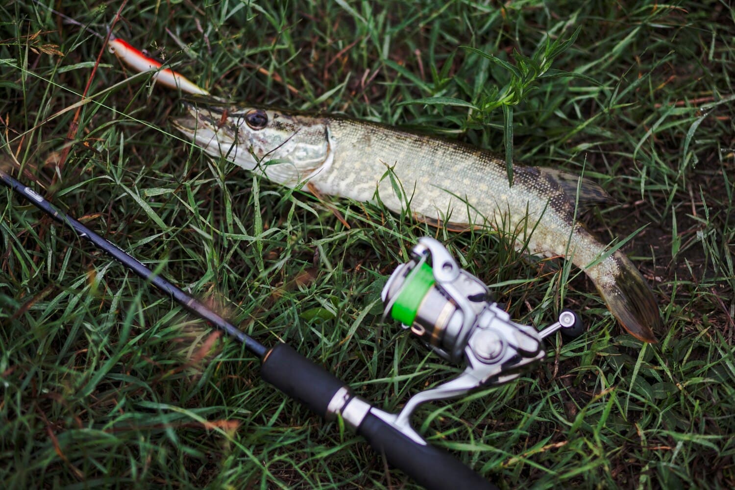 Napatree Point: Striped Bass and Bluefish in Rhode Island's Most Accessible Barrier Beach