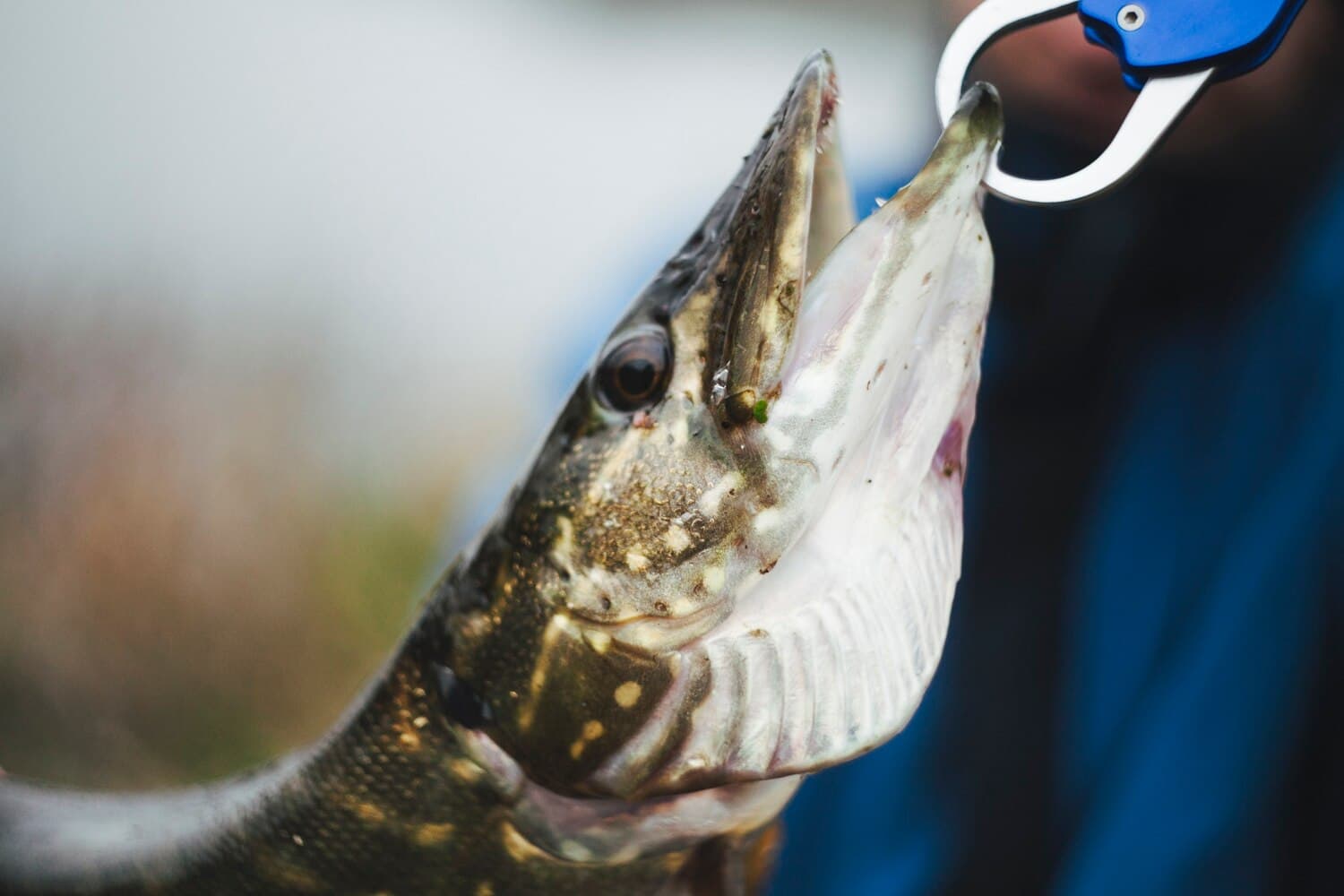 First Encounter Beach in Eastham — Stripers, Flats, and Calm Water Fishing