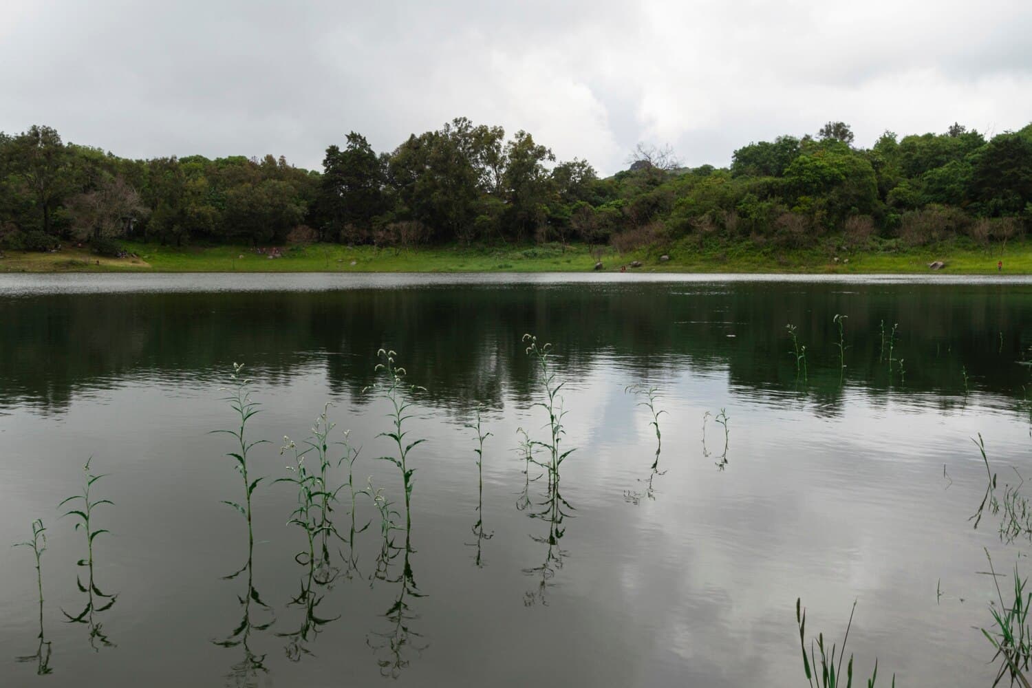 Spectacle Pond in Sandwich: A Shallow Kettle Pond for Bass and Panfish