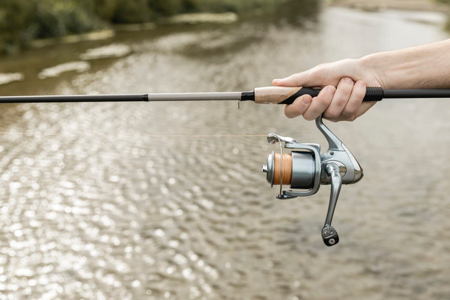 Fishing the Ipswich River: Seasonal Patterns and Access Points