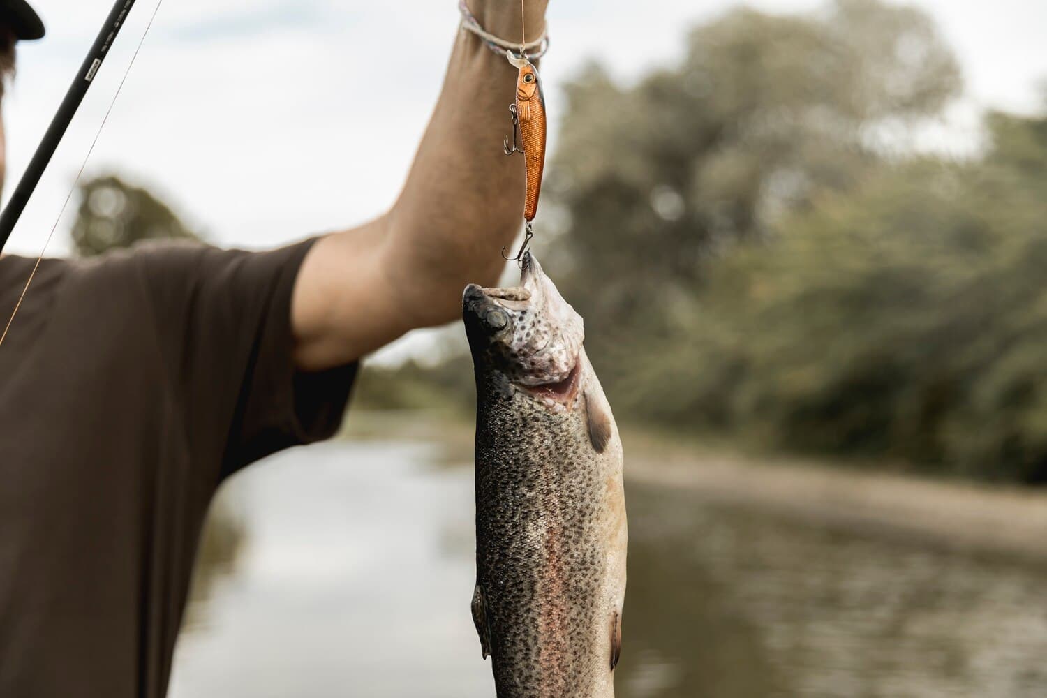 Cook Pond in Fall River — Largemouth Bass and Panfish in a Compact Urban Pond