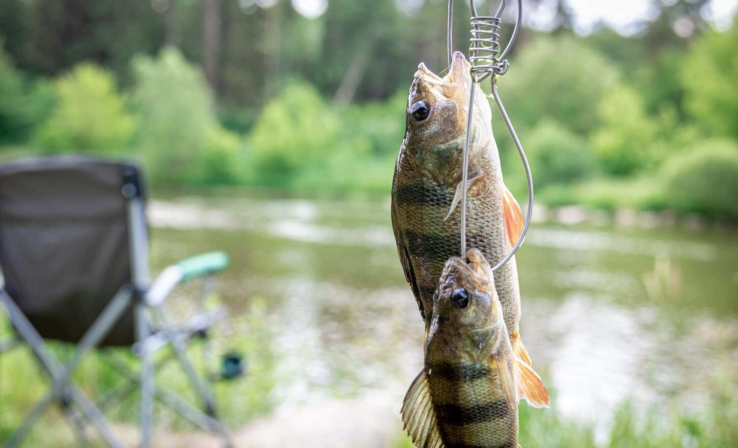 Fishing Lake Waco: What to Expect and Where to Start