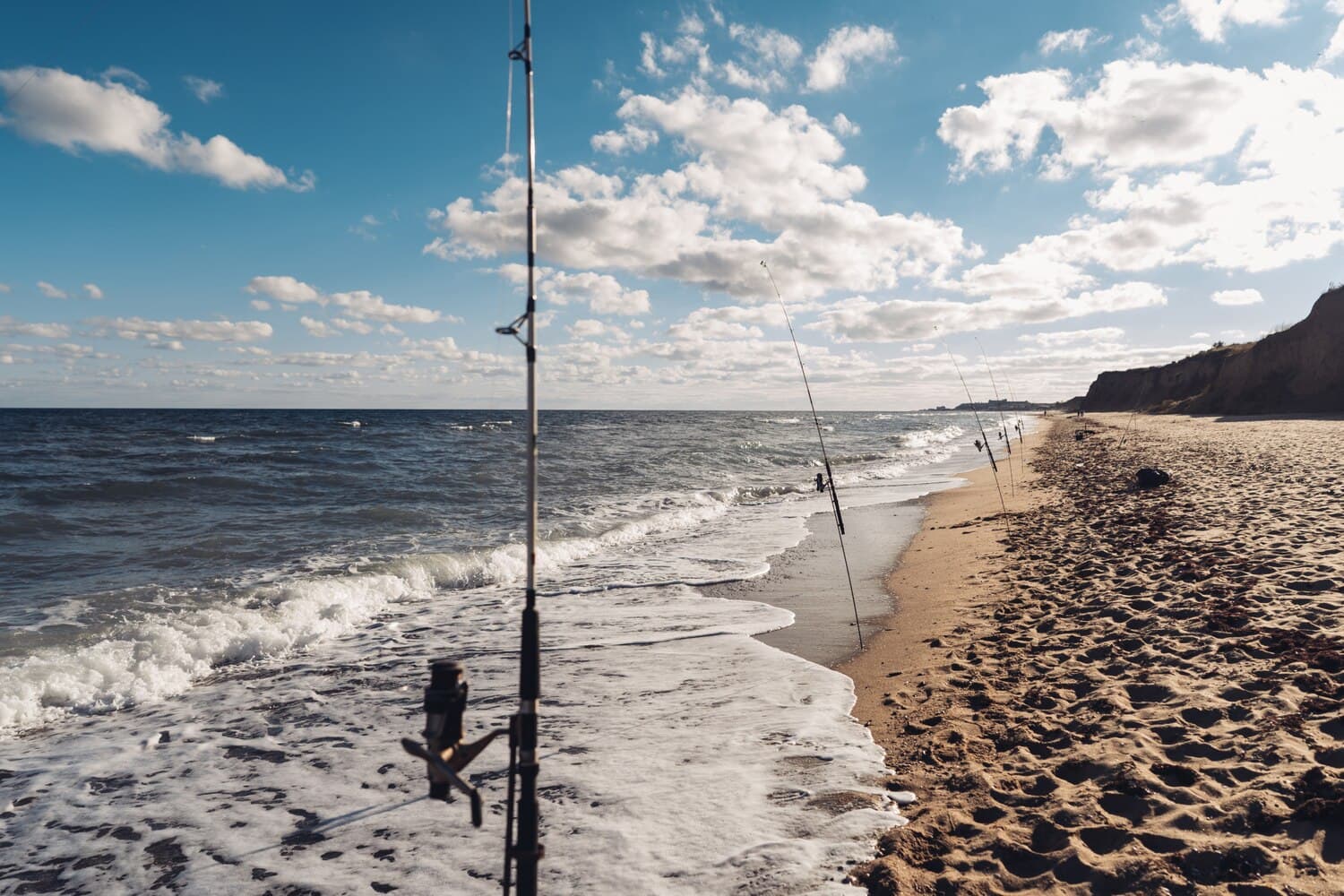 Mill Pond in Barnstable: A Protected Saltwater Pond for Stripers and Fluke