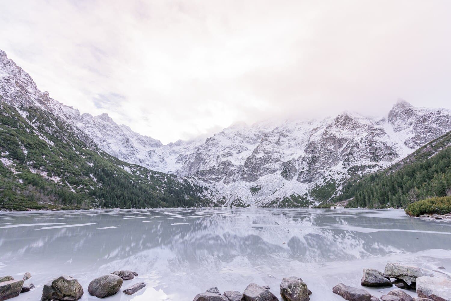 Fishing Eagle Nest Lake Near Taos: Cold-Water Species and Mountain Tactics